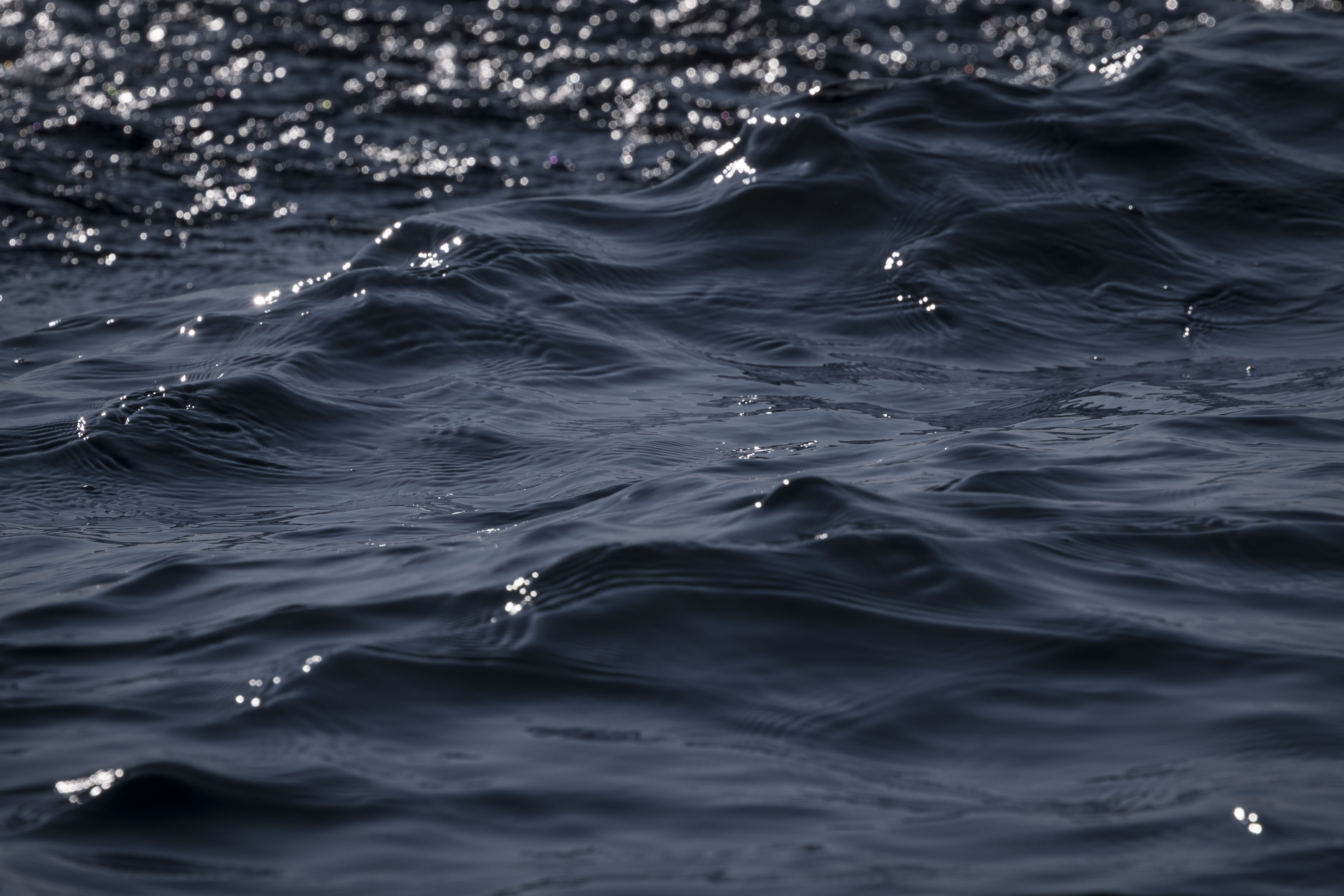 WAVES - 御神酒「翁」